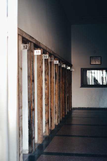 Numbered learning tracks 10 through 12