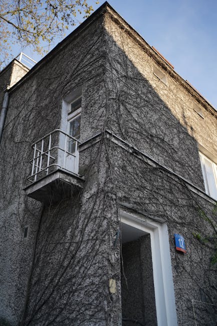 Campus building with ivy